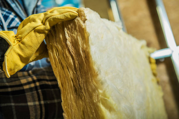 Best Insulation Contractors for Homes  in Malmstrom Af, MT
